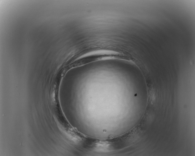 X0000077370214200610271928