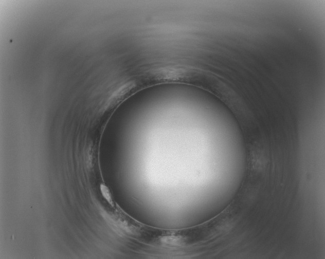 X0000077370216200610271928