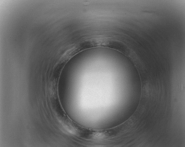 X0000077370218200610271928