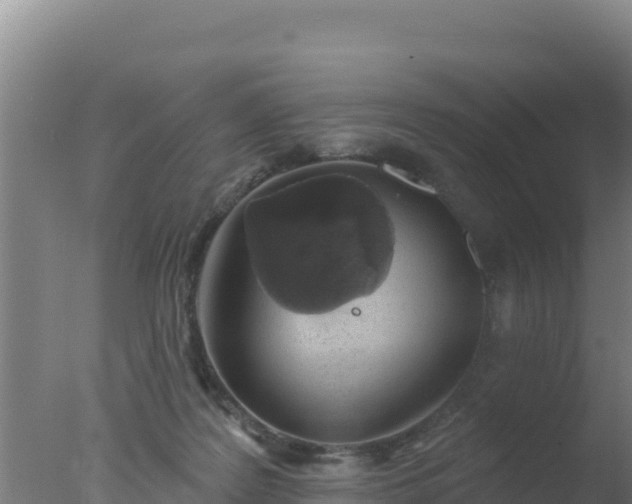 X0000077370219200610271928