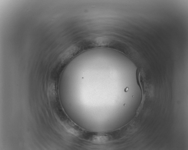 X0000077370220200610271928