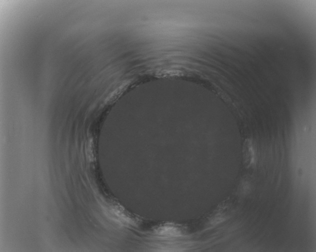 X0000077370224200610271928