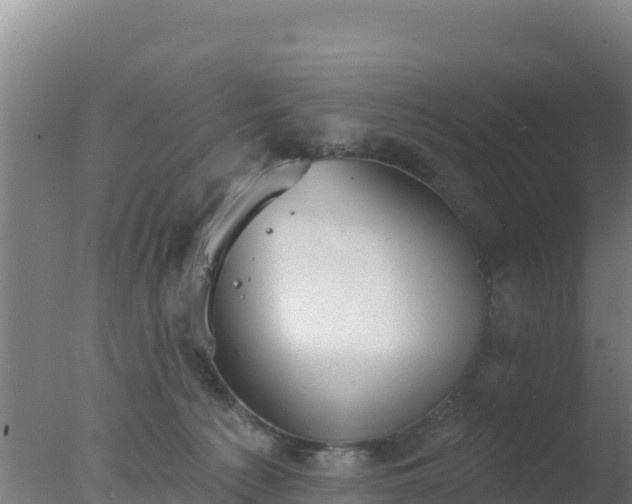 X0000077370225200610271928