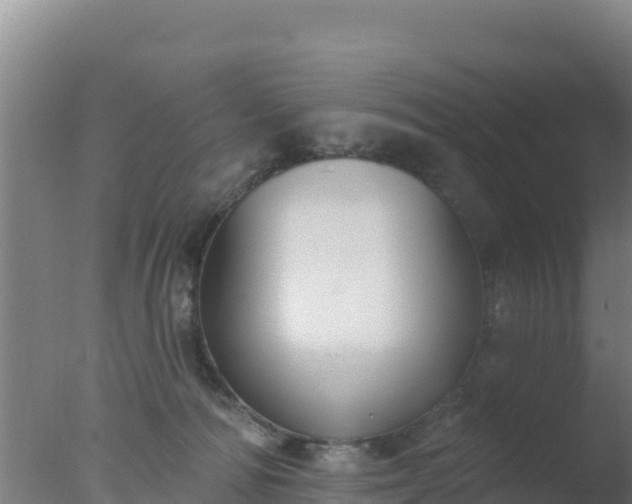 X0000077370226200610271928