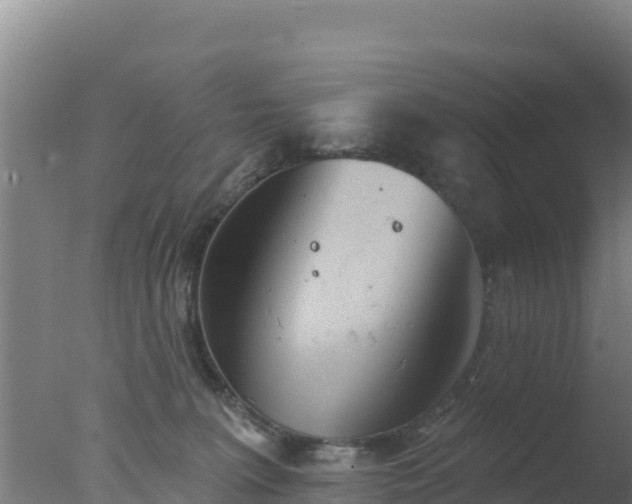 X0000077370227200610271928