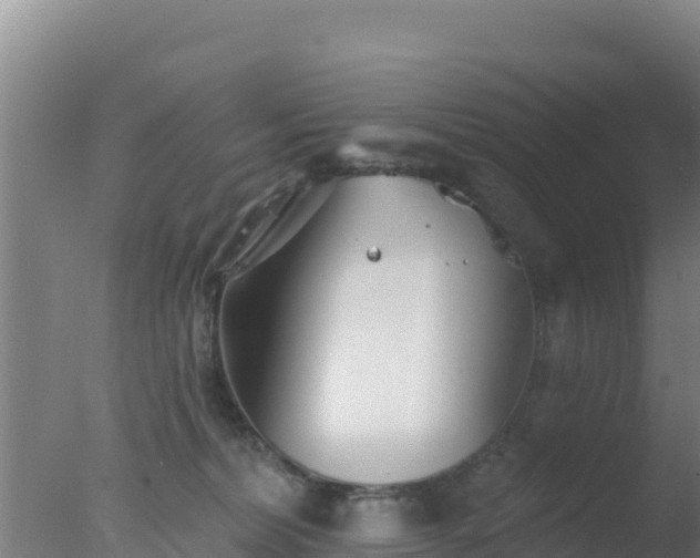 X0000077370228200610271928