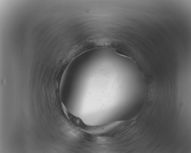 X0000077370229200610271928