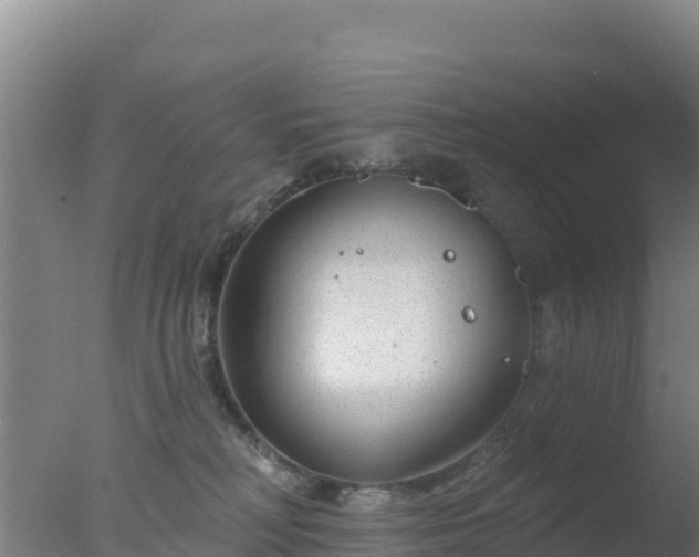 X0000077370230200610271928