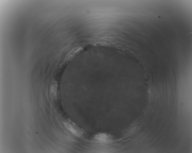 X0000077370231200610271928