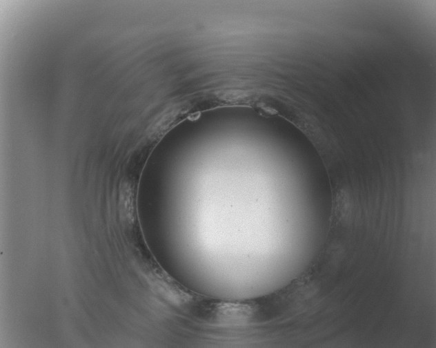 X0000077370234200610271928