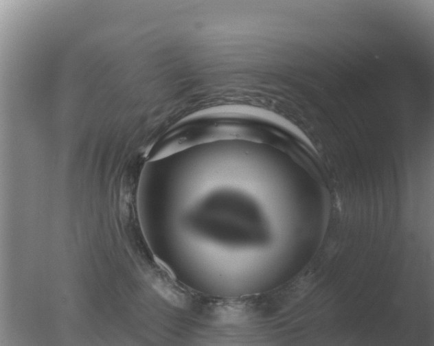 X0000077370235200610271928