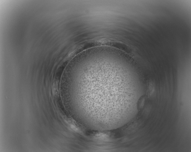 X0000077370236200610271928