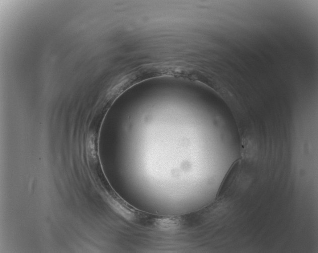 X0000077370238200610271928