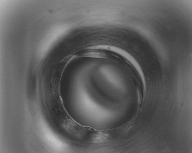 X0000077370239200610271928