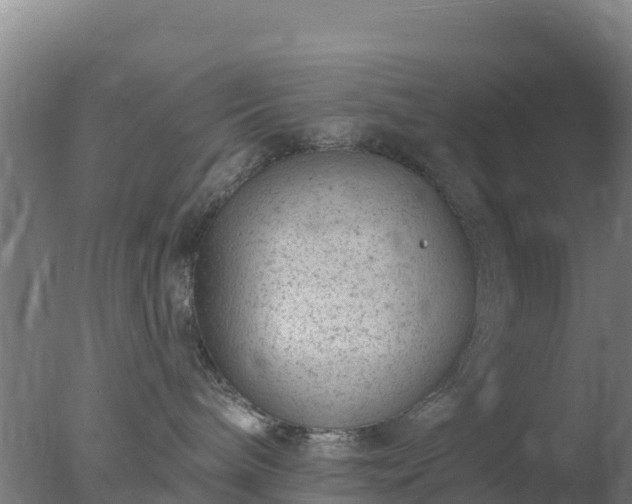 X0000077370240200610271928