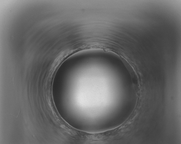 X0000077370241200610271927