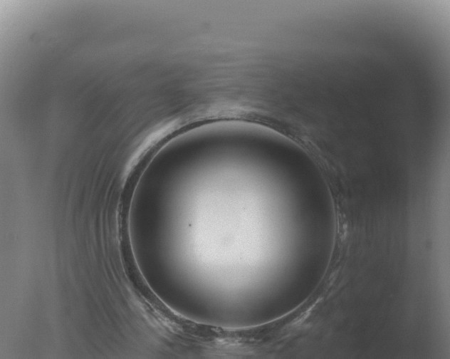 X0000077370244200610271927