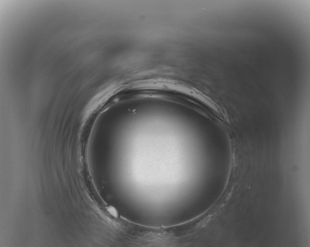 X0000077370245200610271927