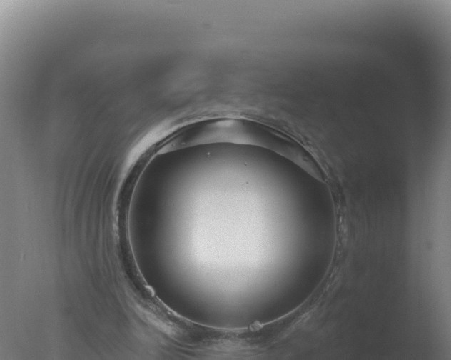 X0000077370246200610271927