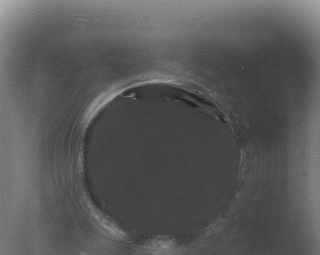 X0000077370247200610271927