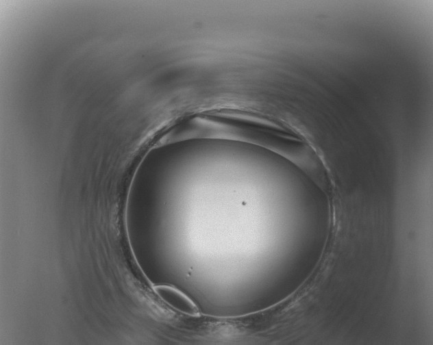 X0000077370249200610271927