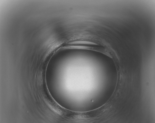 X0000077370250200610271927