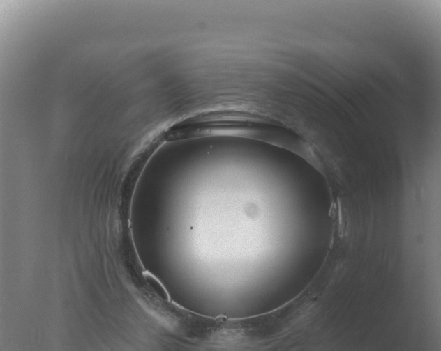 X0000077370252200610271927