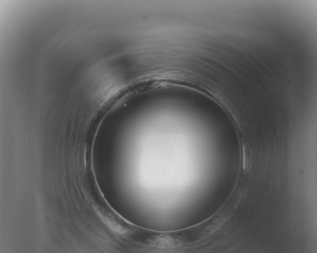 X0000077370253200610271927