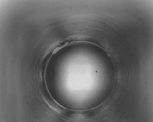 X0000077370254200610271927