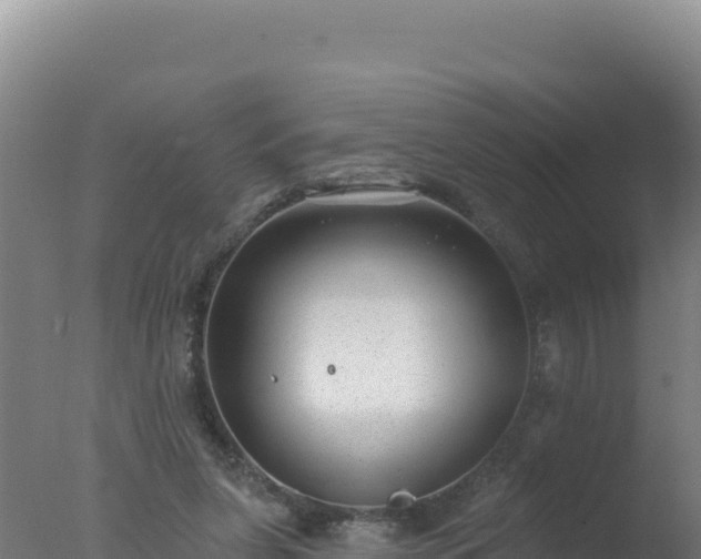 X0000077370255200610271927