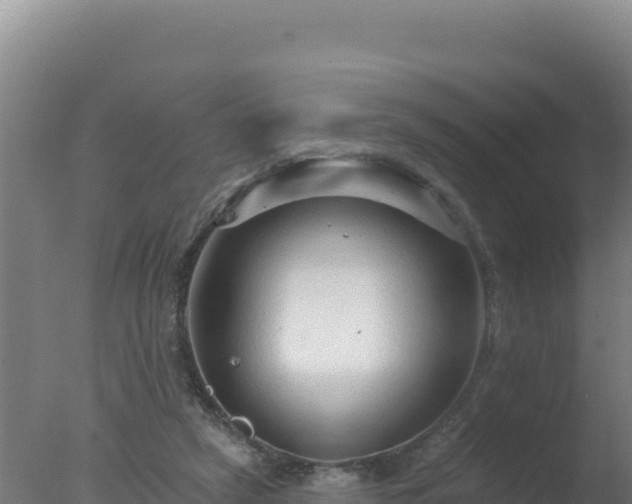 X0000077370257200610271927