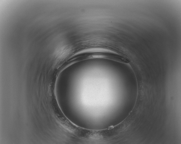 X0000077370258200610271927