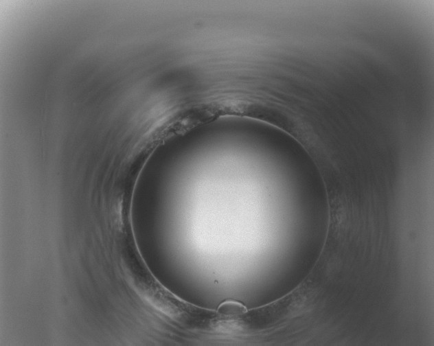 X0000077370262200610271928