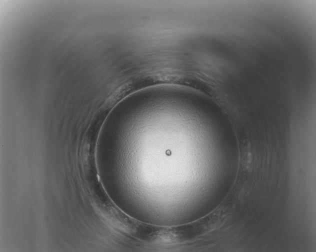 X0000077370263200610271928