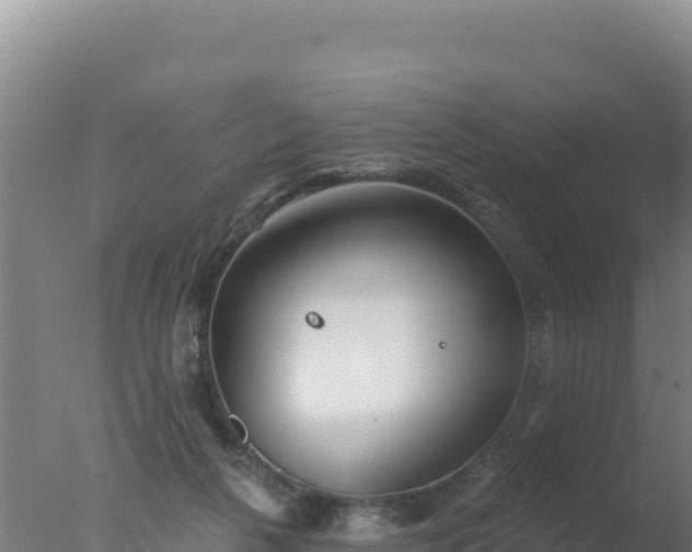 X0000077370264200610271928