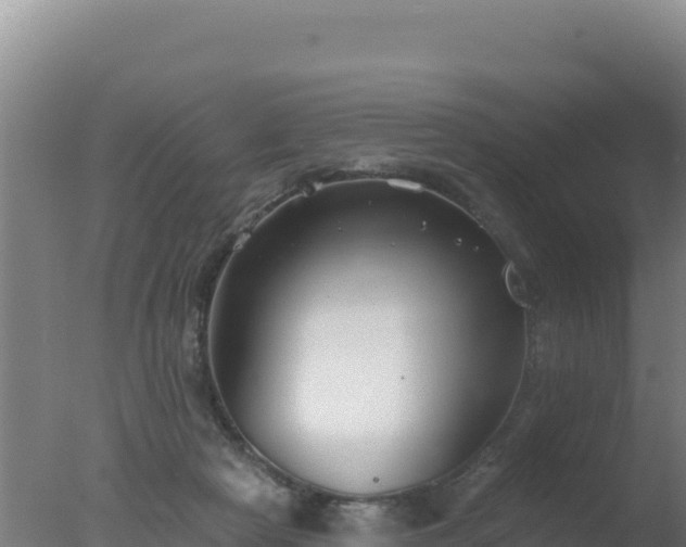 X0000077370265200610271928