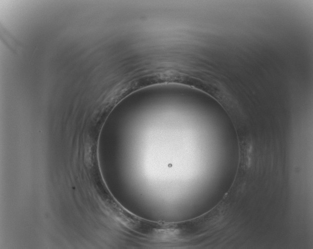 X0000077370266200610271928