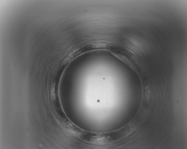 X0000077370267200610271928