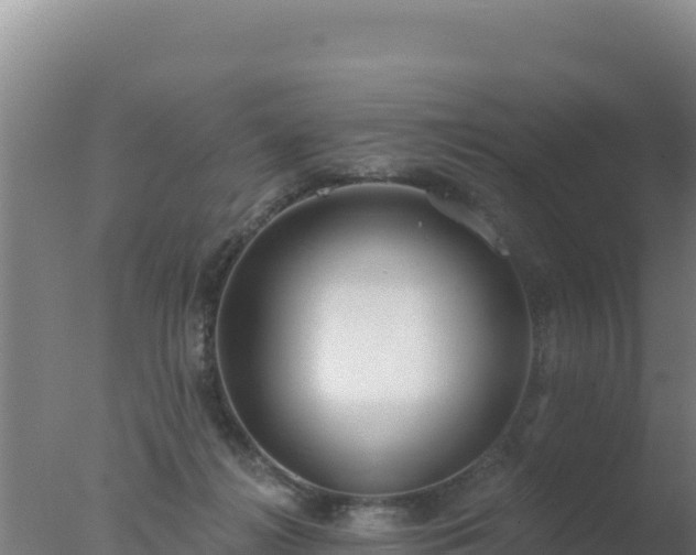 X0000077370268200610271928