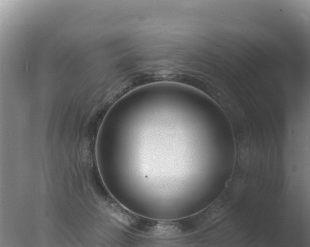 X0000077370270200610271928