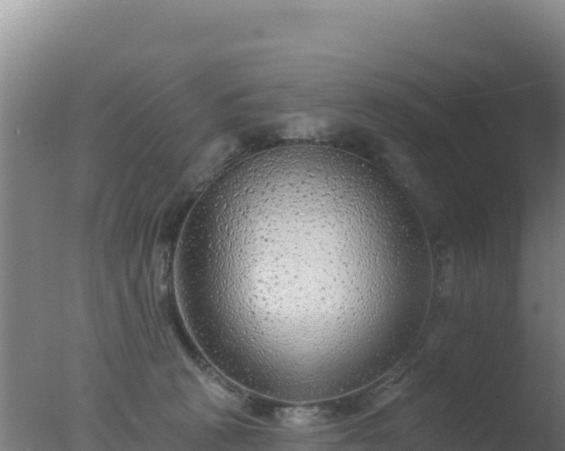 X0000077370273200610271928