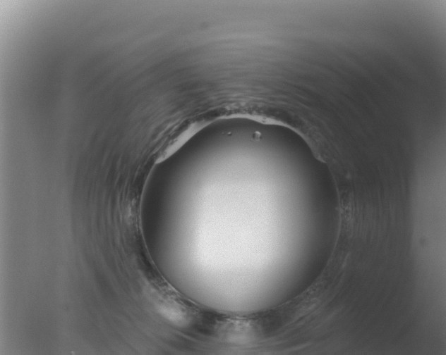 X0000077370276200610271928