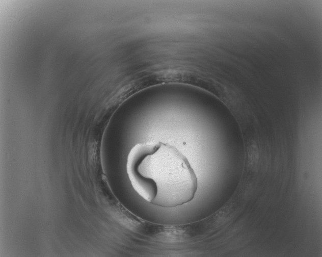 X0000077370278200610271928