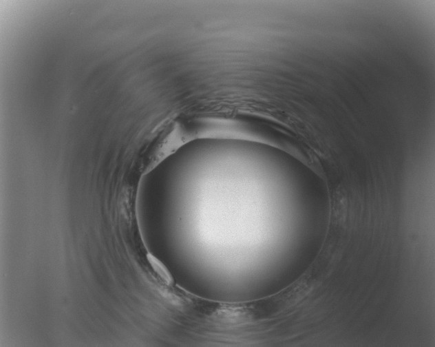 X0000077370280200610271928