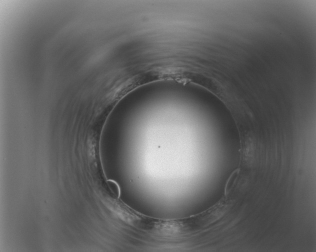 X0000077370282200610271928