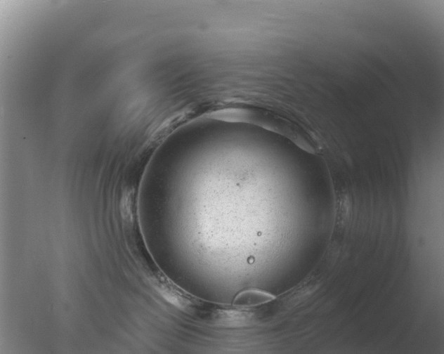 X0000077370286200610271928