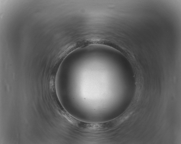 X0000077370288200610271928