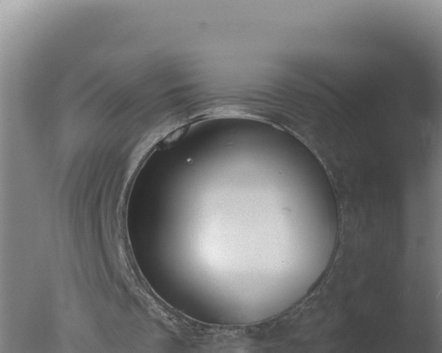 X0000077370289200610271927