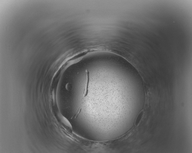 X0000077370290200610271927