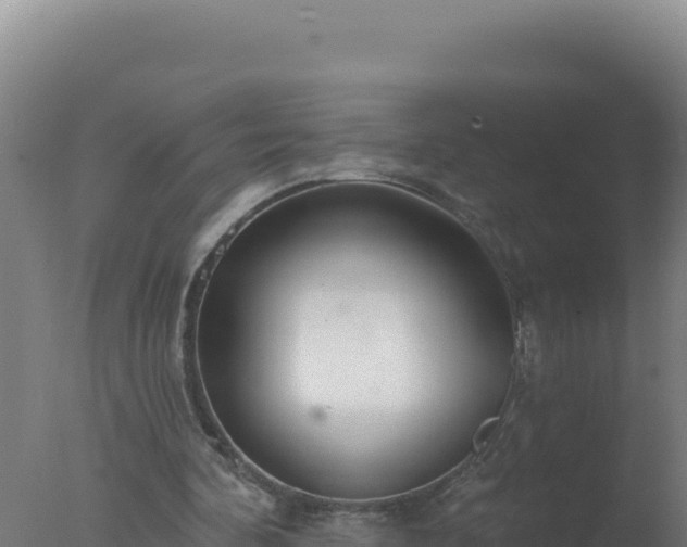 X0000077370292200610271927